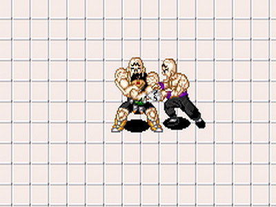 Dragon Ball Z: Buu's Fury
