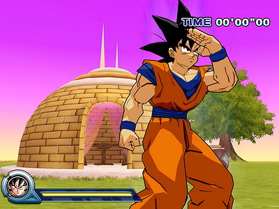 Dragon Ball Z: Infinite World