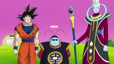 Dragon Ball Z: La Battaglia degli dei