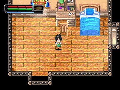 Dragon Ball Z: Il Destino di Goku II