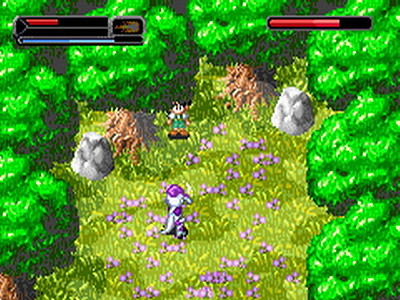 Dragon Ball Z: Il Destino di Goku II