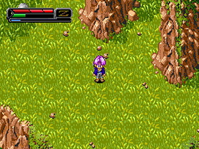 Dragon Ball Z: Il Destino di Goku II
