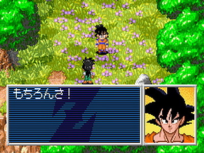 Dragon Ball Z: The Legacy of Goku II International