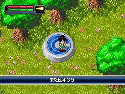 Dragon Ball Z: The Legacy of Goku II International