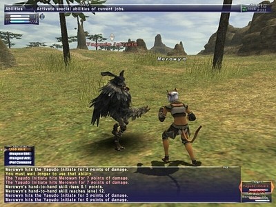 Final Fantasy XI