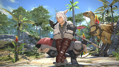 Final Fantasy XIV: A Realm Reborn