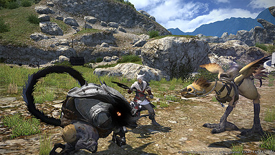 Final Fantasy XIV: A Realm Reborn