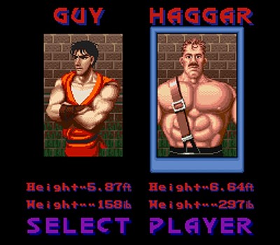 Final Fight Guy
