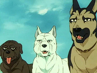 Ginga nagareboshi Gin