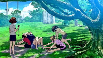 Hikari: Kariya o Tsunagu Monogatari