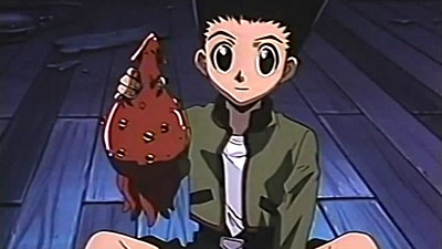 Hunter x Hunter Pilot