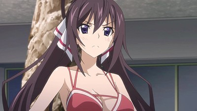 IS: Infinite Stratos 2 - Hitonatsu no Omoide