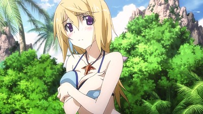 IS: Infinite Stratos 2 - Hitonatsu no Omoide