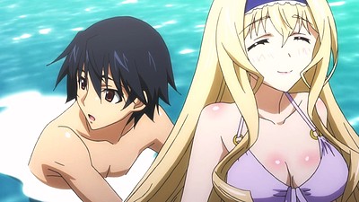 IS: Infinite Stratos 2 - Hitonatsu no Omoide