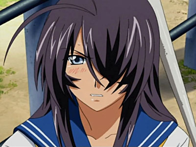 Ikkitousen - Great Guardians