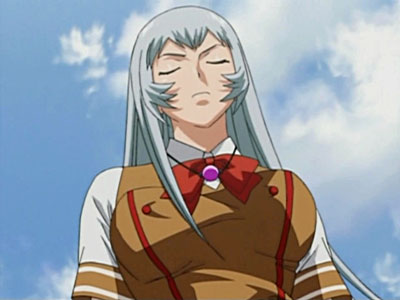 Ikkitousen - Great Guardians