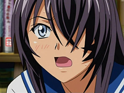 Ikkitousen - Great Guardians