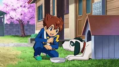 Inazuma Eleven GO!