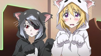 Infinite Stratos 2