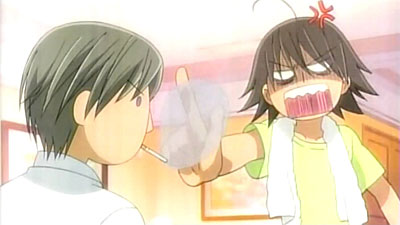 Junjou Romantica 2