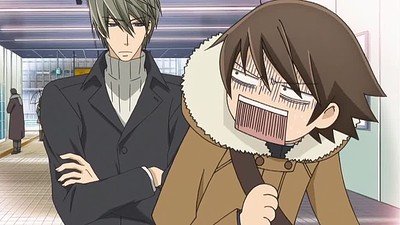 Junjou Romantica OVA