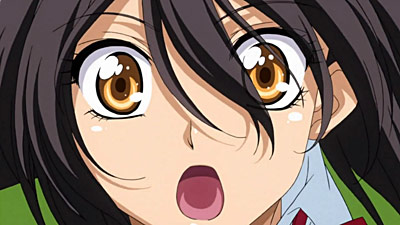 MAID-SAMA! - La doppia vita di Misaki