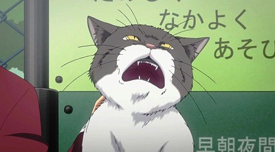 Kimi to Boku.