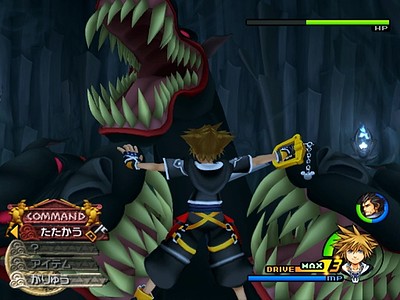 Kingdom Hearts II