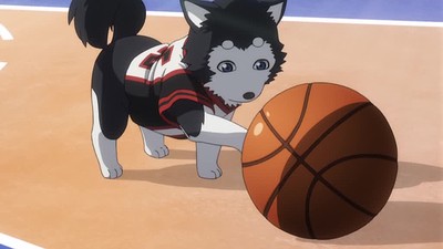Kuroko no Basket: Baka ja Katenai no yo!