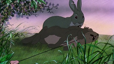 La collina dei conigli