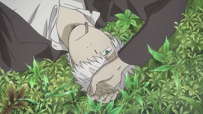 Mushishi Special: Hihamukage