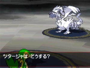 Pokémon Versione Nera e Versione Bianca