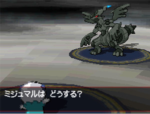 Pokémon Versione Nera e Versione Bianca