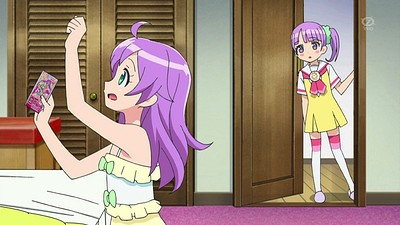 PriPara