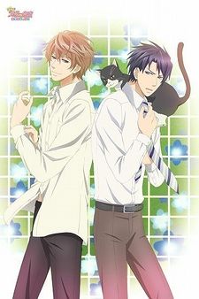 Sekaiichi Hatsukoi Movie: Yokozawa Takafumi no Baai