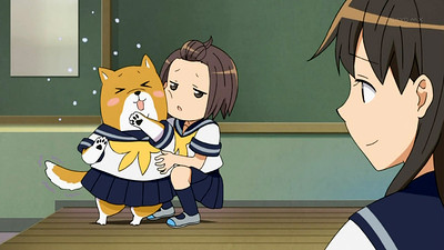 Shiba Inuko-san