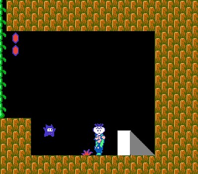 Super Mario Bros. 2
