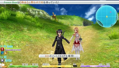 Sword Art Online: Hollow Fragment