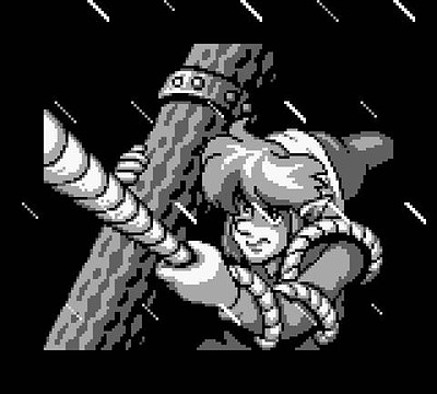 The Legend of Zelda: Link's Awakening