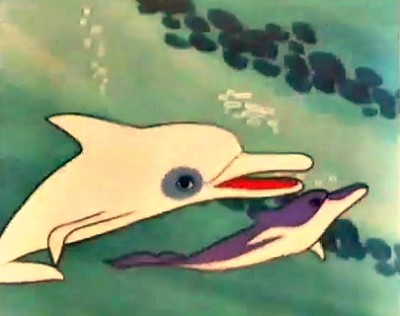 Zum il delfino bianco