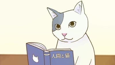 2200 Cat Country Japan