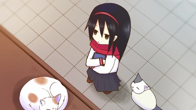 2200 Cat Country Japan