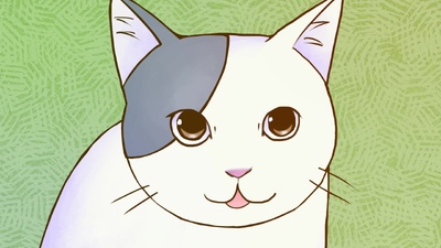 2200 Cat Country Japan