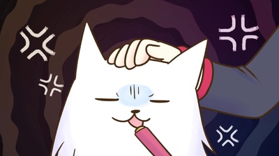 2200 Cat Country Japan