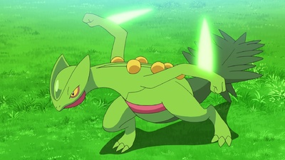 Pokémon: Maestro di Pokémon: La serie
