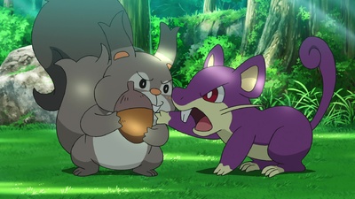 Pokémon: Maestro di Pokémon: La serie
