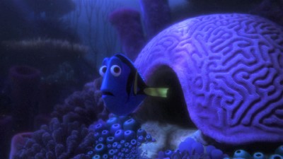 Alla ricerca di Dory