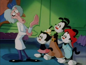 Animaniacs (1993)