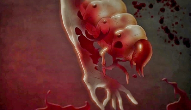 Aragne: Sign of Vermillion