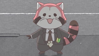 Raccoon Calcal Force
